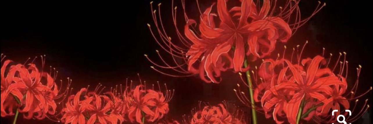 EsquivelIvette's profile banner image
