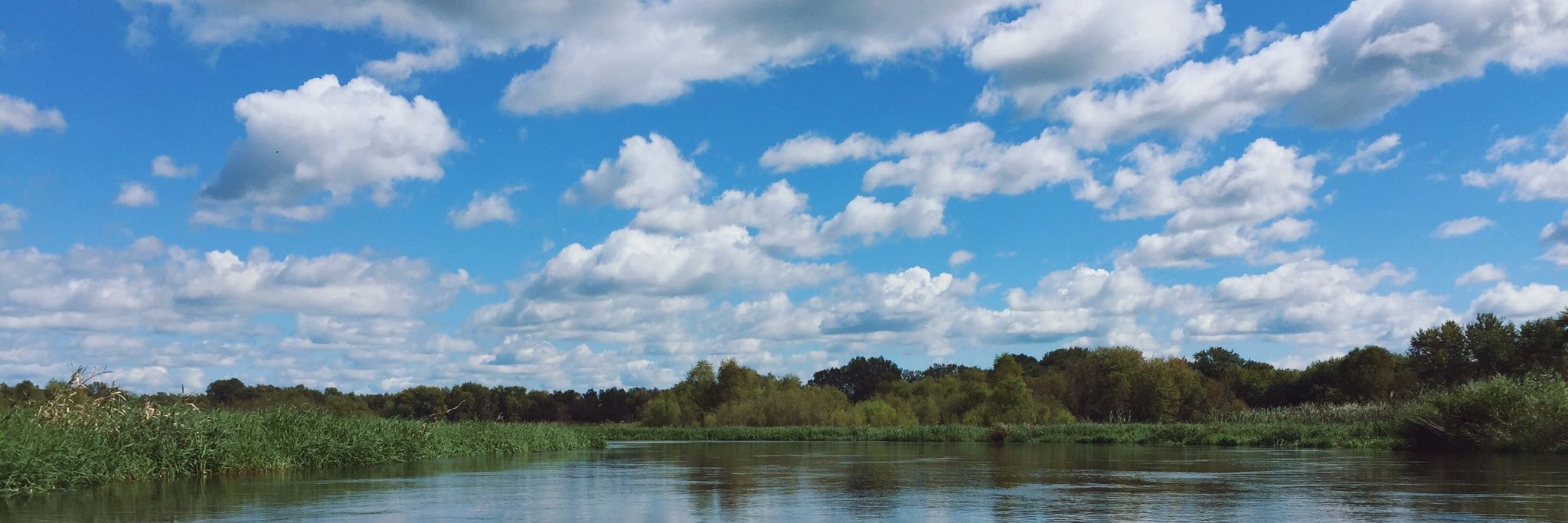 EllieMoonen's profile banner image
