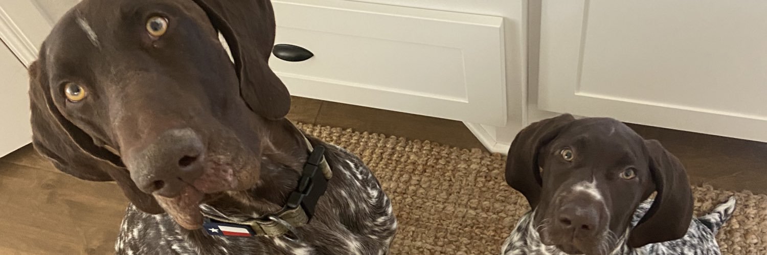sidneypearson__'s profile banner image