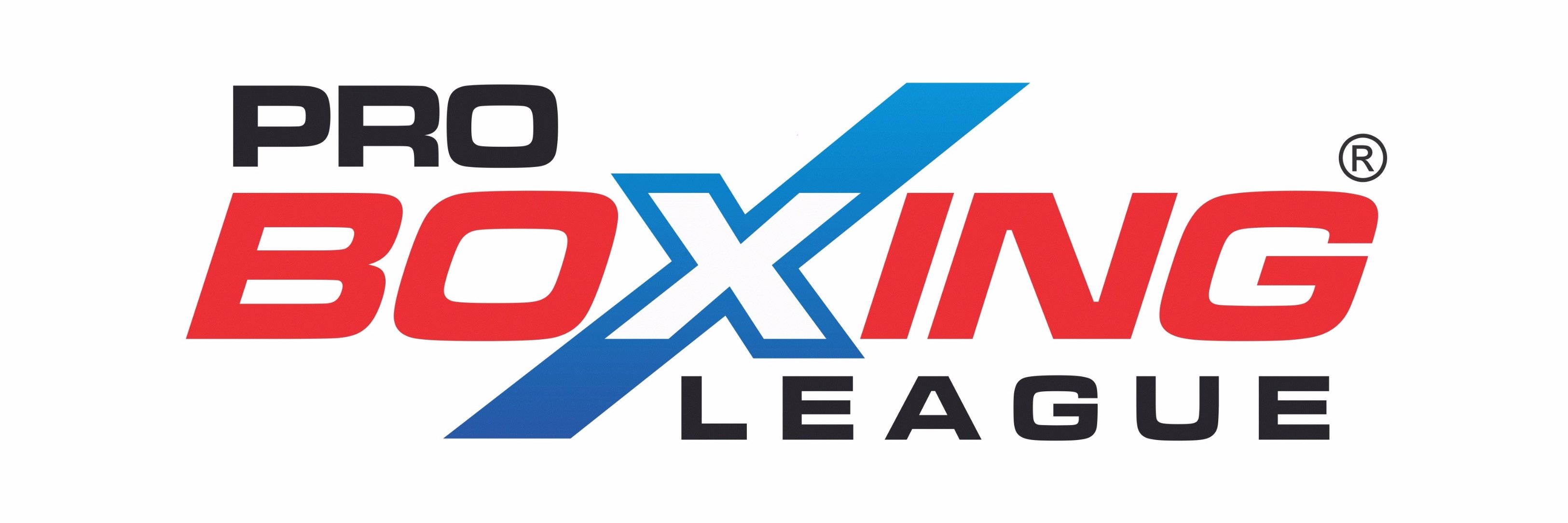 Indian Professional Boxing Association banner