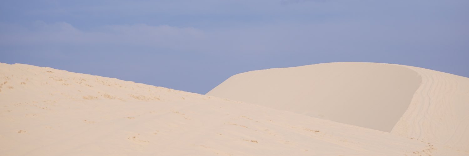 alonely_alienn's profile banner image