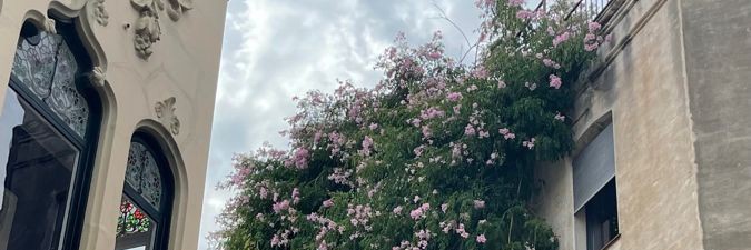 ephemeralilith's profile banner image