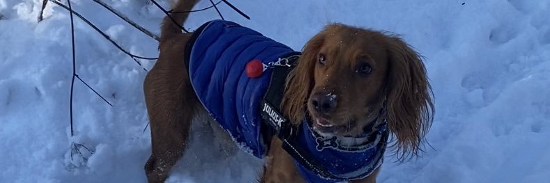 NatalieMcR_'s profile banner image