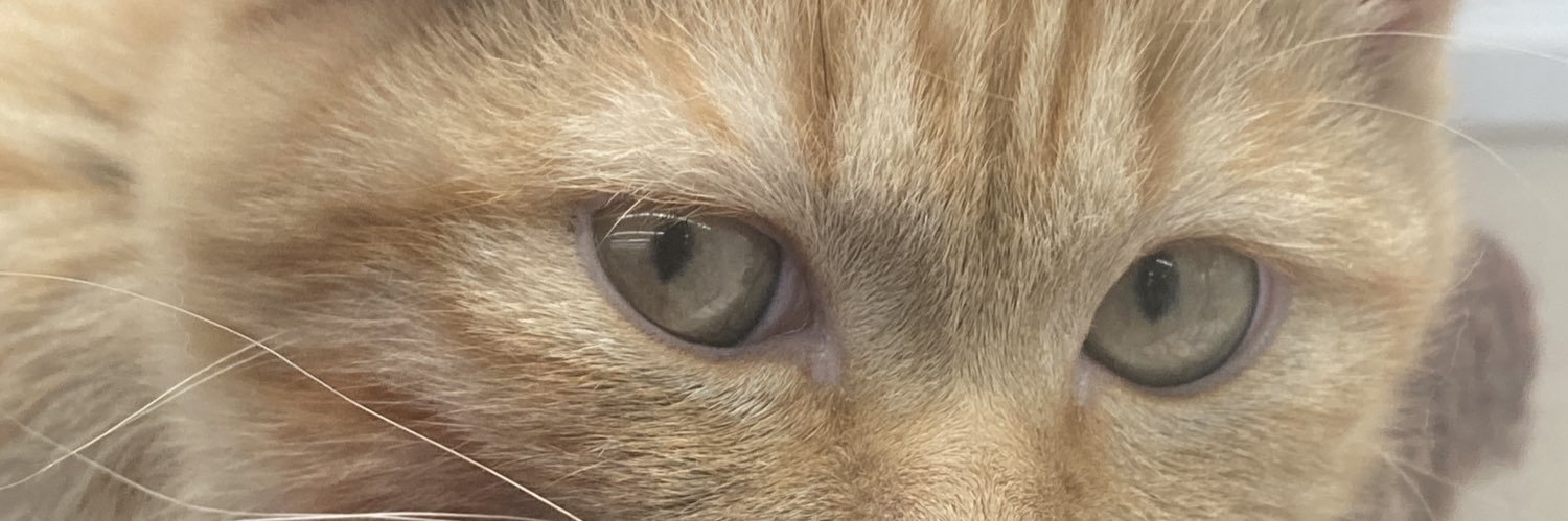 itsClefKey's profile banner image