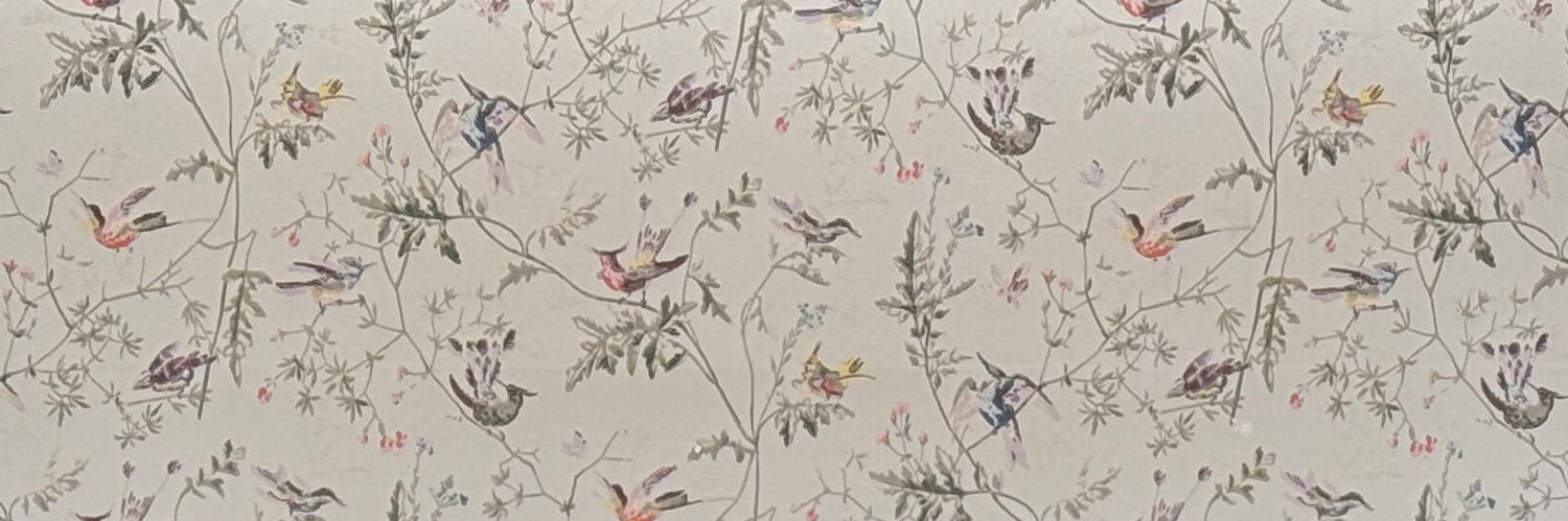dream______6's profile banner image