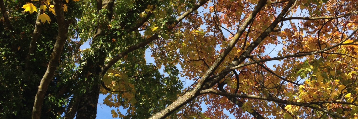 Matthew Jones banner