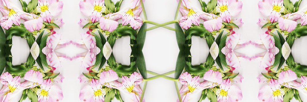 estefaniahv90's profile banner image