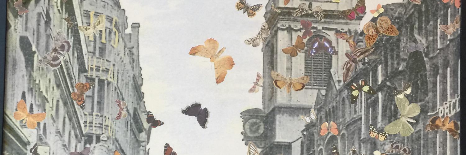 VivaldiCarlo's profile banner image