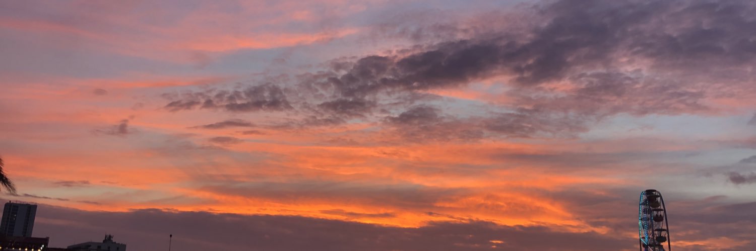 lblee13's profile banner image