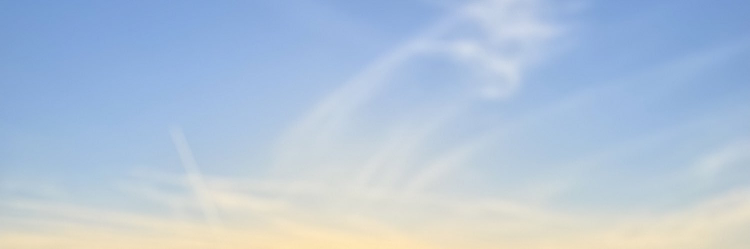 margotaffourtit's profile banner image