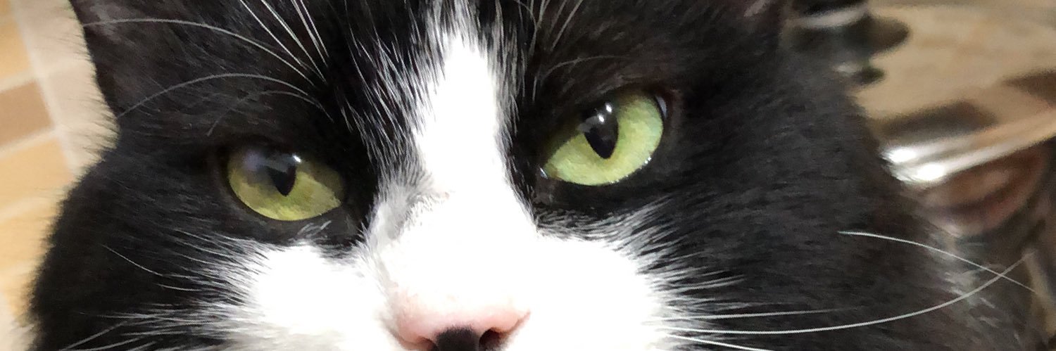 UmtDuman's profile banner image