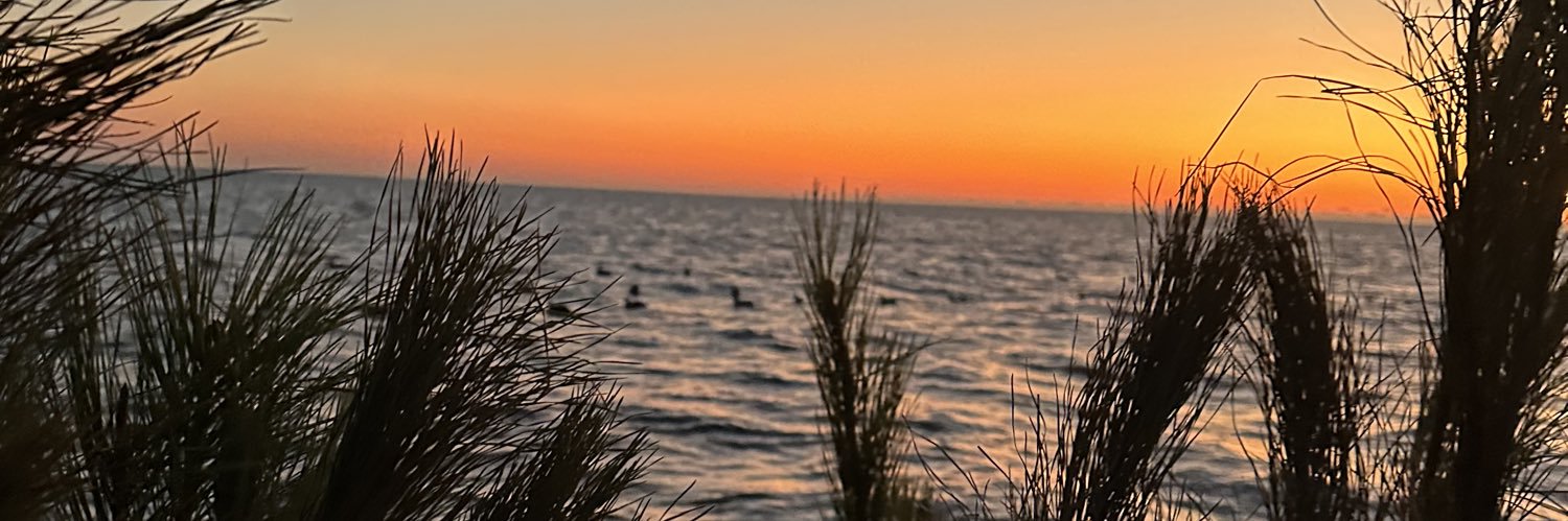 1980MCJ's profile banner image