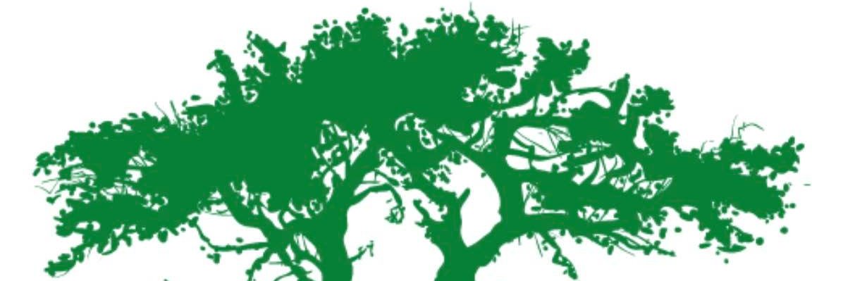 harrelcat's profile banner image