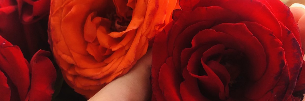 KenmAlba's profile banner image