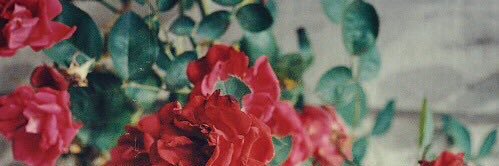 3837n1's profile banner image