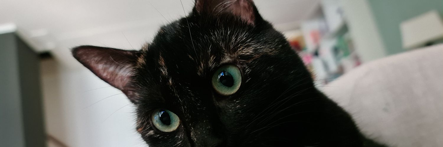 Sa4aTweets's profile banner image