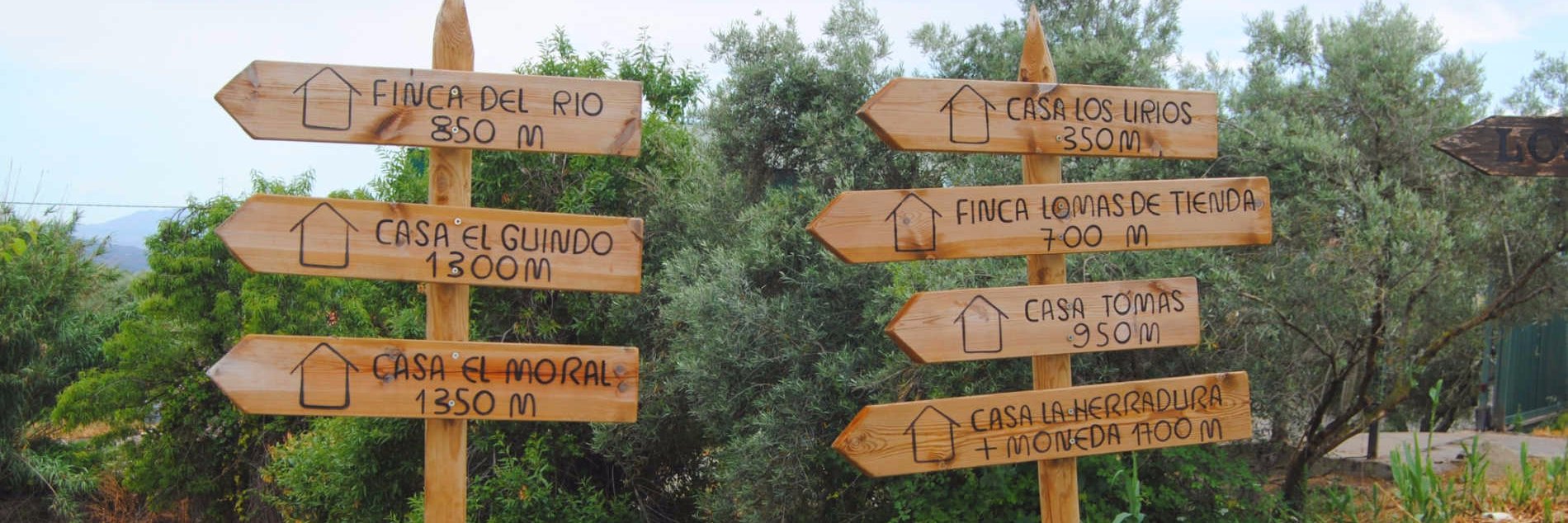 RuralTorcal's profile banner image