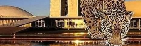 alexandrejaco's profile banner image