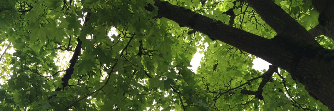 toddvanvoris's profile banner image