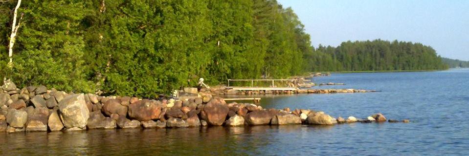 Mari Toivanen banner