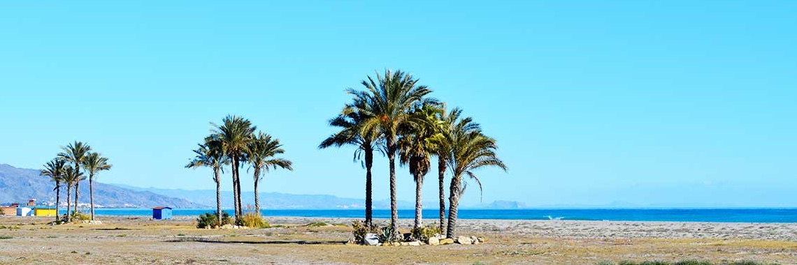 Josefgilfer's profile banner image