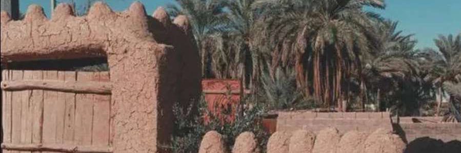 a888353a's profile banner image