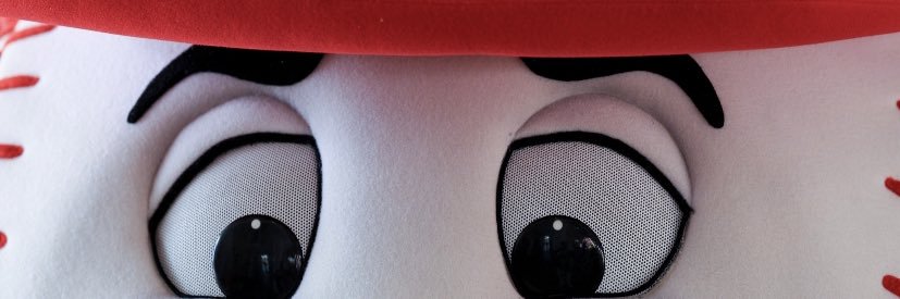 Scott Rimmer banner