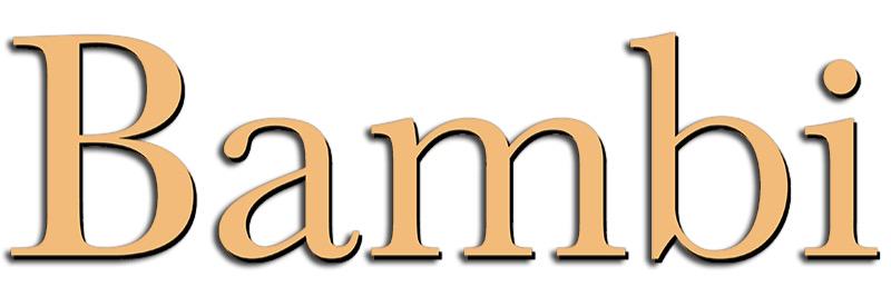 BankrollBambi's profile banner image