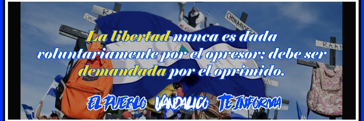 Mipatriallora's profile banner image
