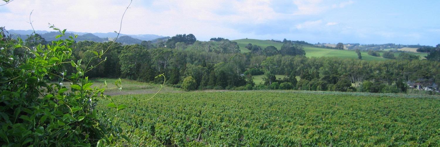 heronsflightnz's profile banner image