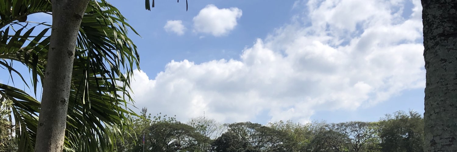 kissanjeli's profile banner image