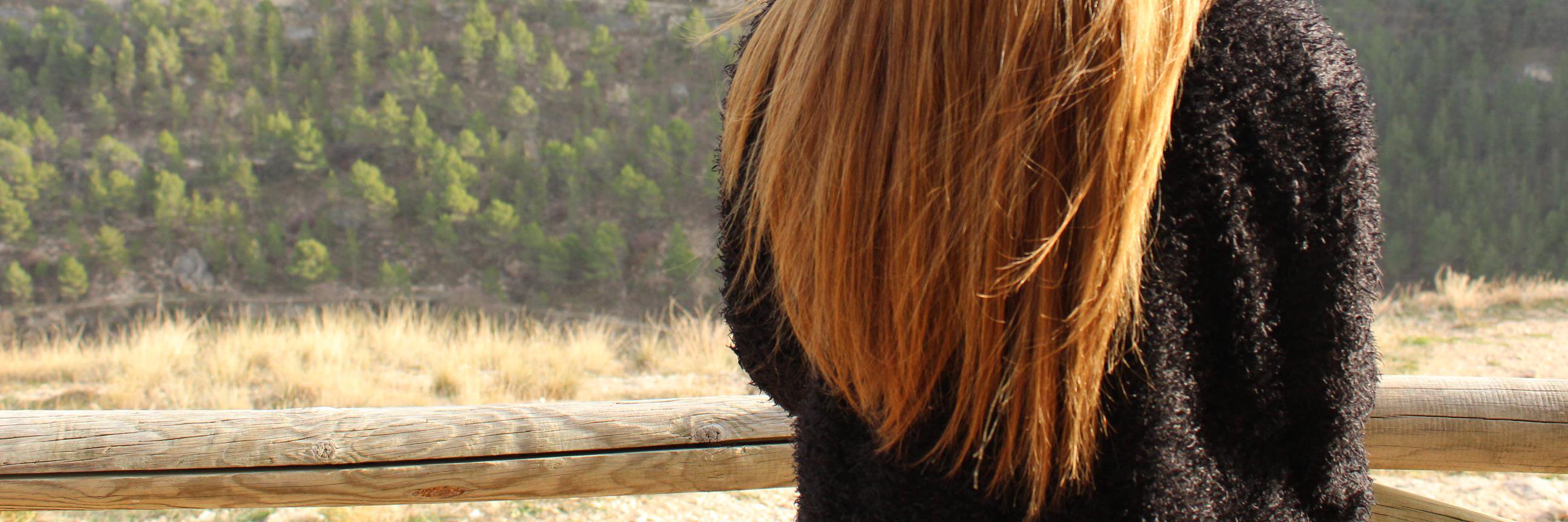 mariacl3's profile banner image