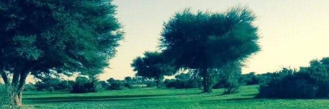 borkan7891's profile banner image