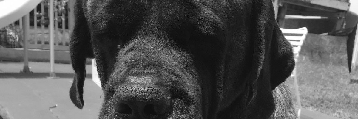 domodemugsy's profile banner image