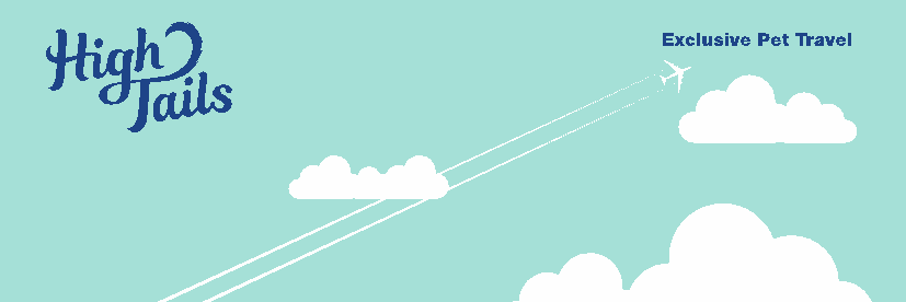 High_Tails's profile banner image
