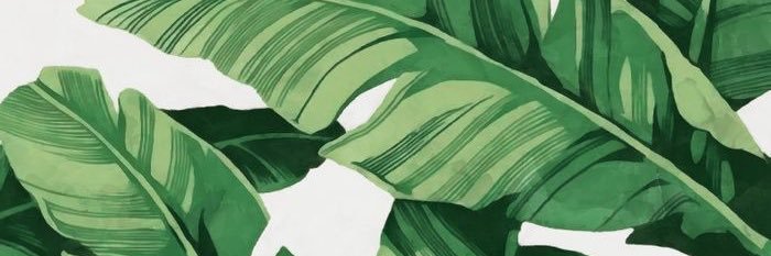 nicalex5's profile banner image