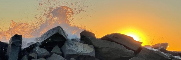 vitalhemp Profile Banner