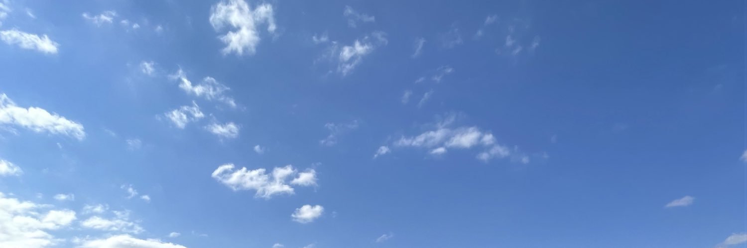 Senem_Atayolu's profile banner image