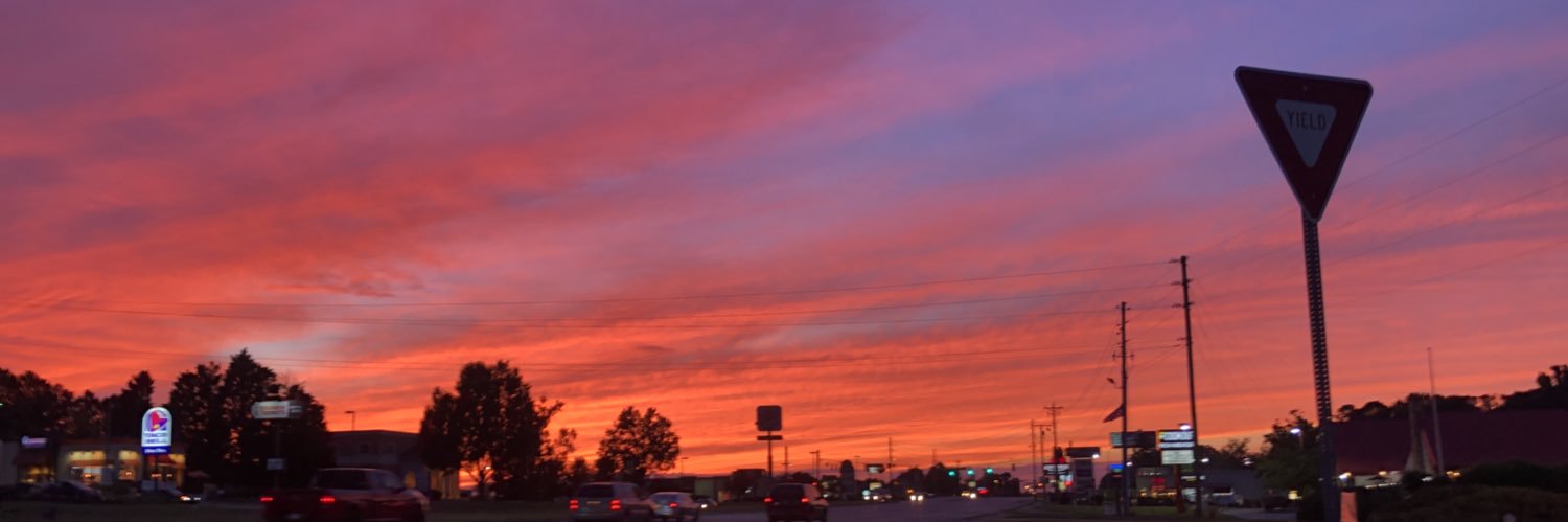 ElizaSnyder's profile banner image