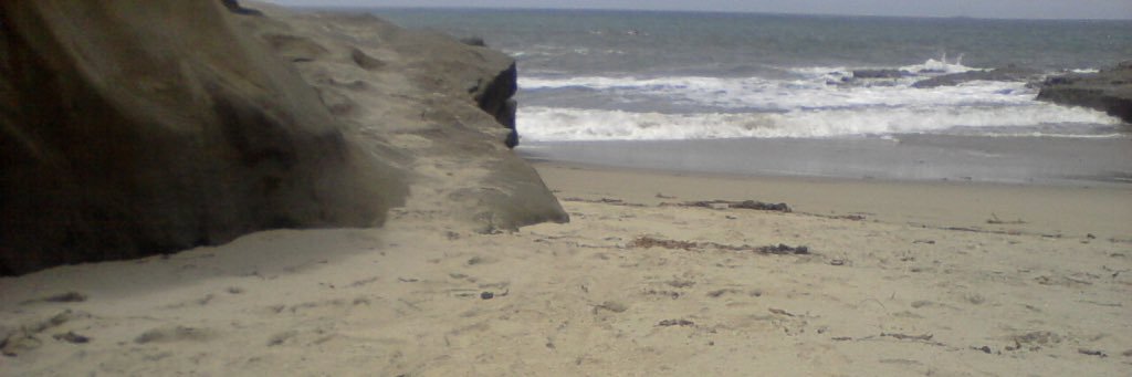 I Dissent 🤣 | #resist ✊ banner