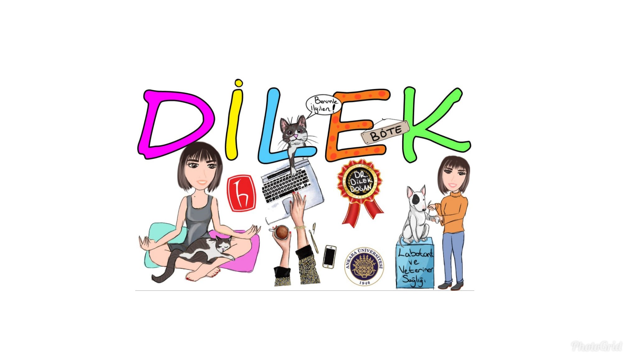 dilek___dogan's profile banner image