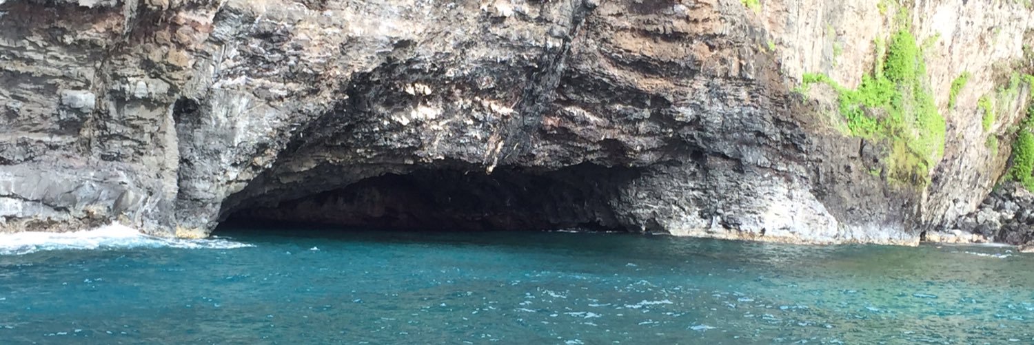 Janis Thereault banner