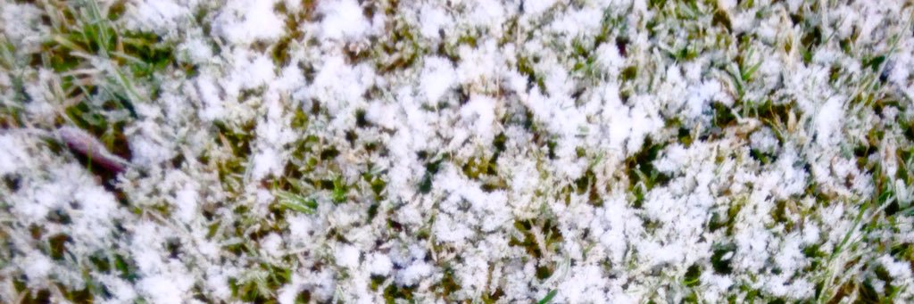DreamsChest's profile banner image