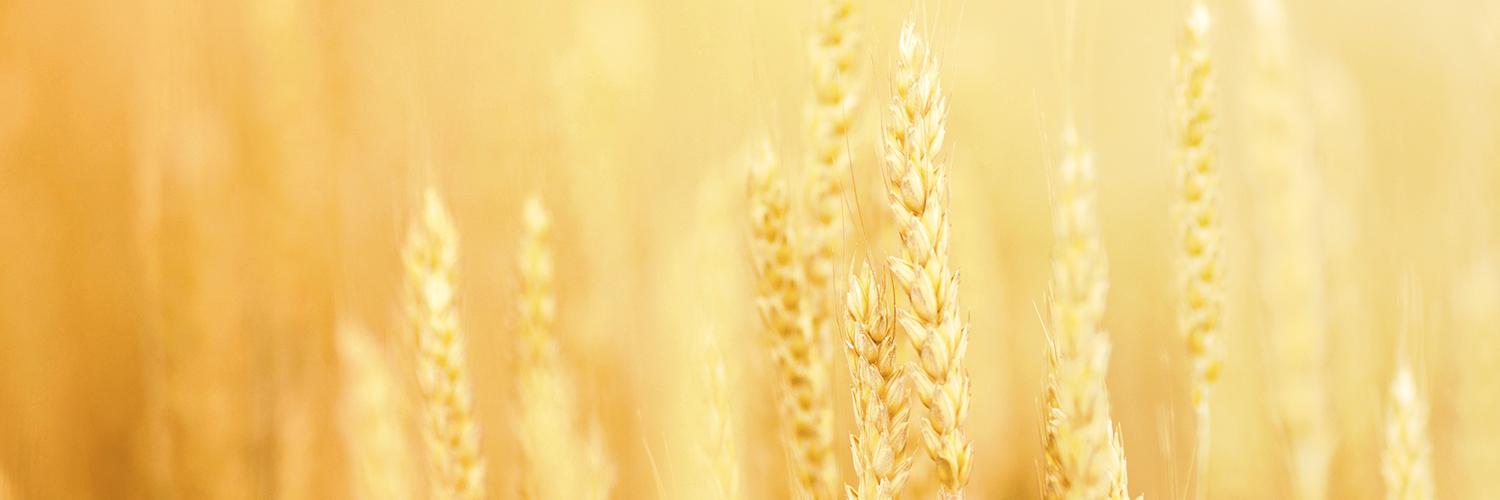 Healthier_Cambs's profile banner image