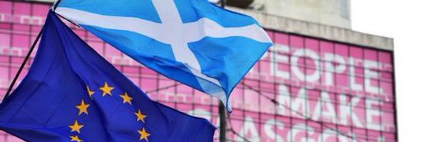 clindsaystrath Profile Banner
