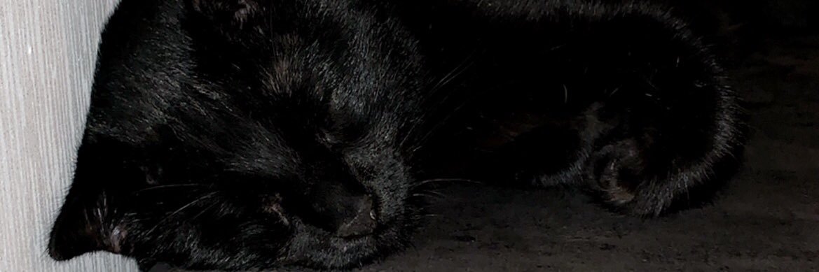 mathbeulag's profile banner image