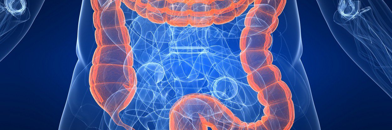 LTH SurgResearchTeam banner