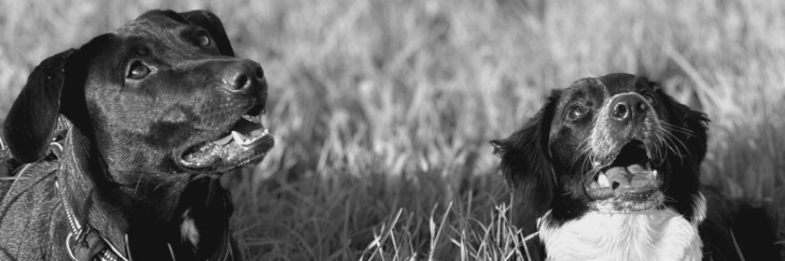 ClaiireAloha's profile banner image
