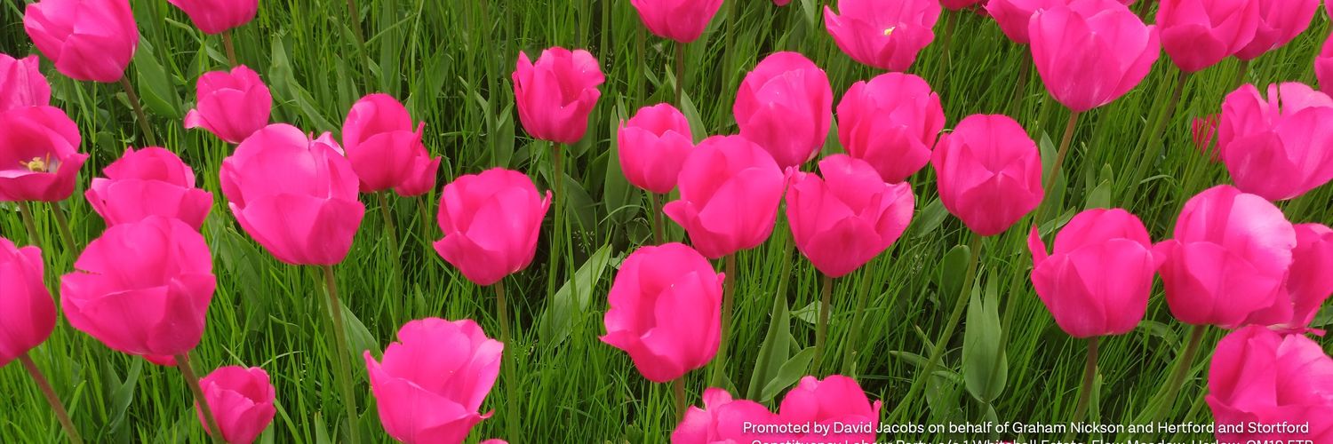 Graham Nickson banner