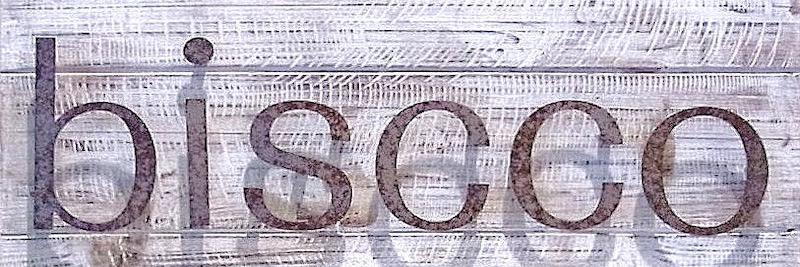 biscco288's profile banner image